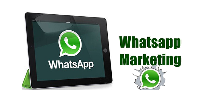 Using WhatsApp Messenger for Marketing Campaigns